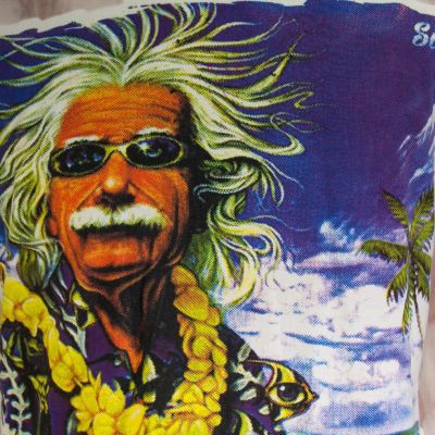 Pánske tričko Sure Einstein on Holiday Brown Thailand