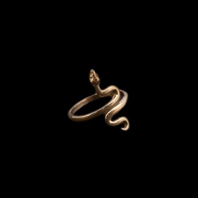 Mosadzný prsteň Grass Snake | 660792