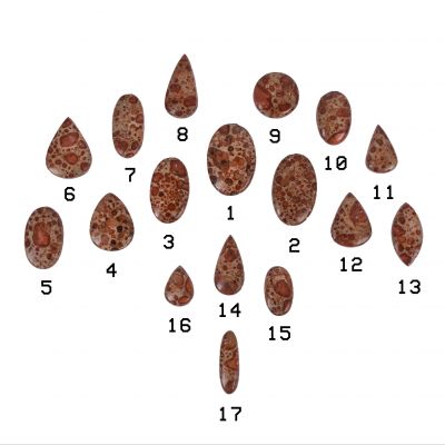 Brúsený polodrahokam - Jaspis Leopardí | 1, 2, 3, 4, 5, 6, 7, 8, 9, 10, 11, 12, 13, 14, 15, 16, 17